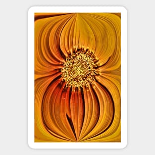 Orange Gazania Design Magnet